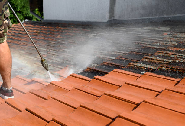 Best Pressure Washing Near Me  in Humboldt, IA