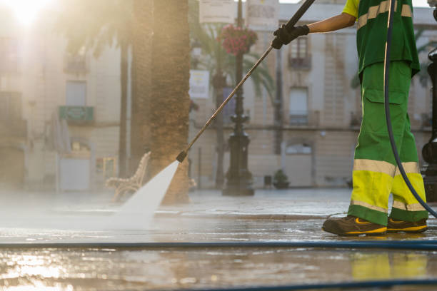 Best Fence Pressure Washing  in Humboldt, IA