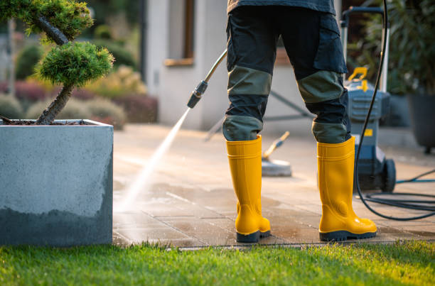 Best Local Pressure Washing Services  in Humboldt, IA